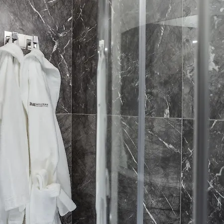 Welcome Hotel-2